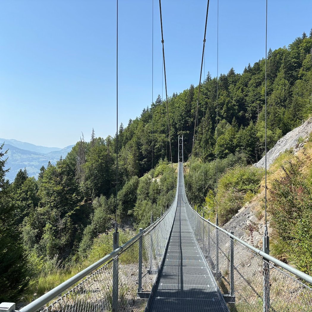 Passerelle du Nant Bordon 2